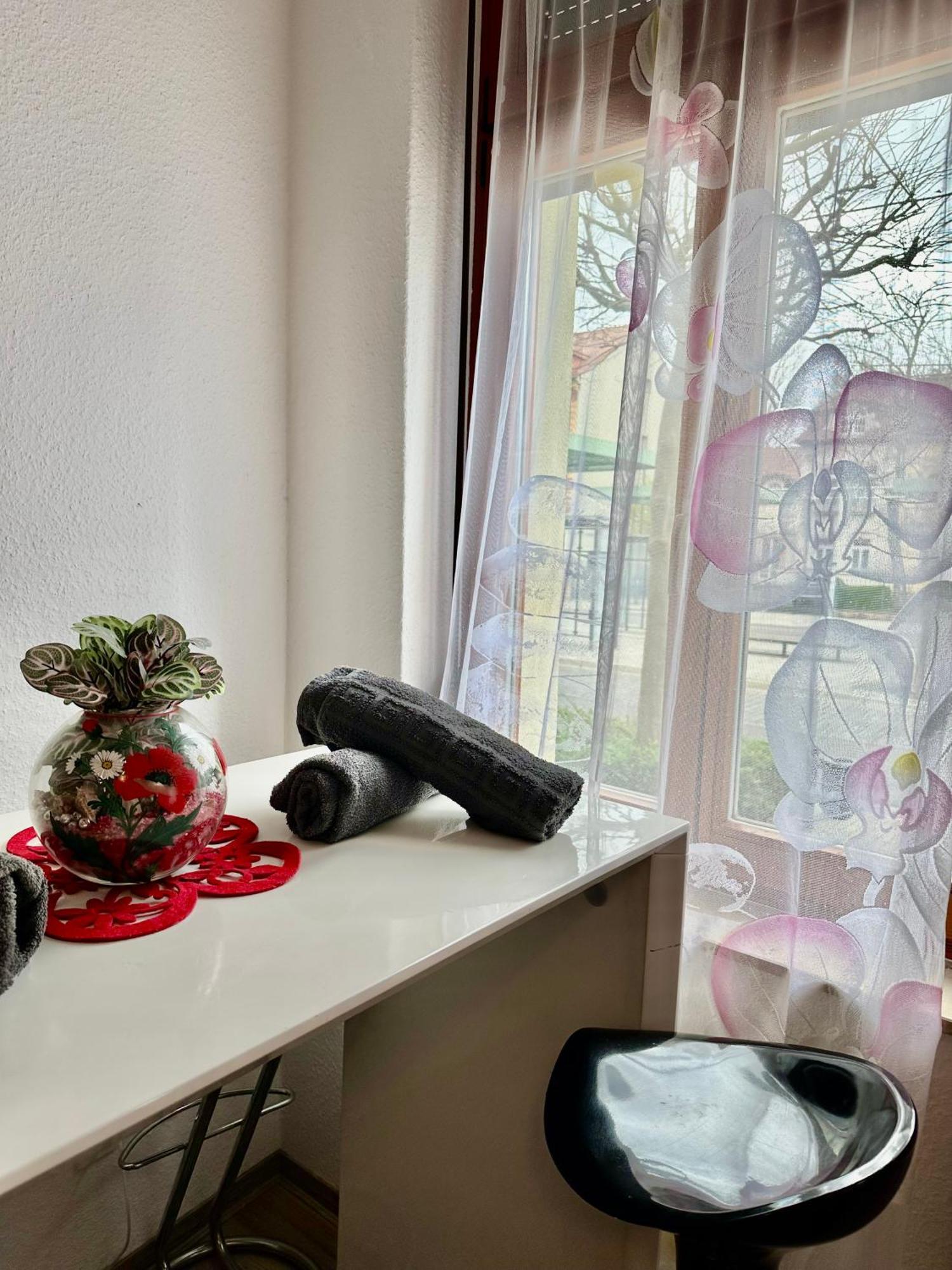 Ferienzimmer Healing Und Montuerwohnung Вайсенфельс Экстерьер фото