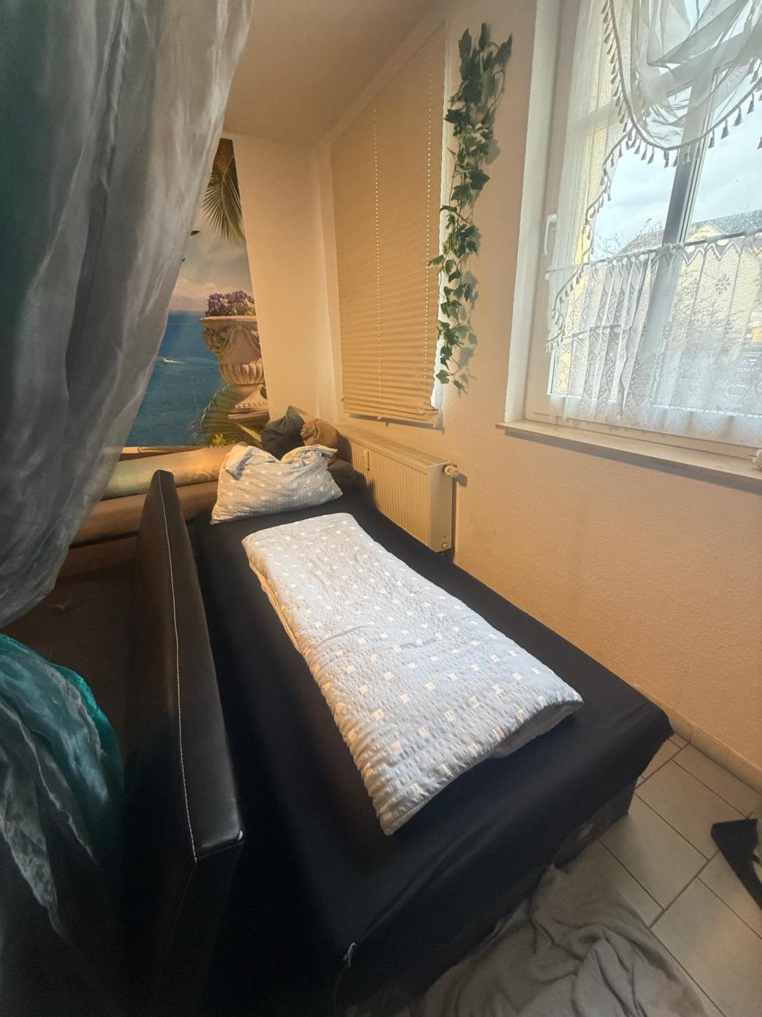 Ferienzimmer Healing Und Montuerwohnung Вайсенфельс Экстерьер фото